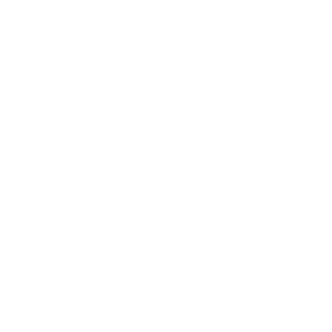 Vision